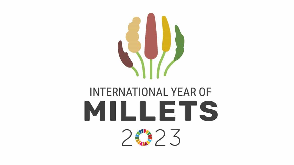 International Year Of Millets 2023 Theme Significance Facts