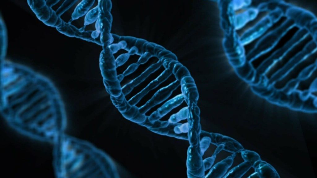 gene editing technology