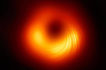 Polarized-Image-of-Black-Hole
