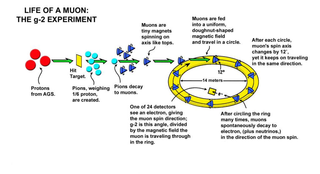 Muon g-2 Experiment working