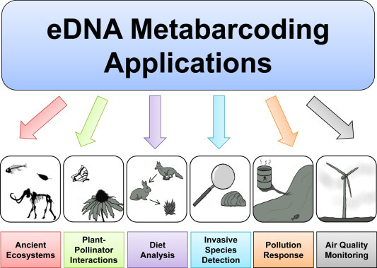 eDNA metabarcoding applications