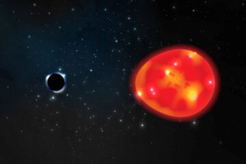 Tidal distortion the red giant black hole The Unicorn