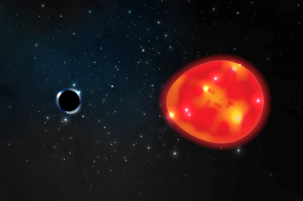 Tidal distortion the red giant black hole The Unicorn