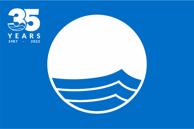 Blue flag logo