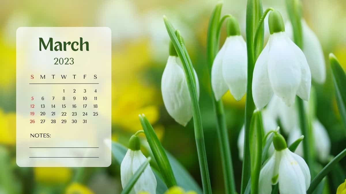 Important Days in March 2024 With Theme and Significance