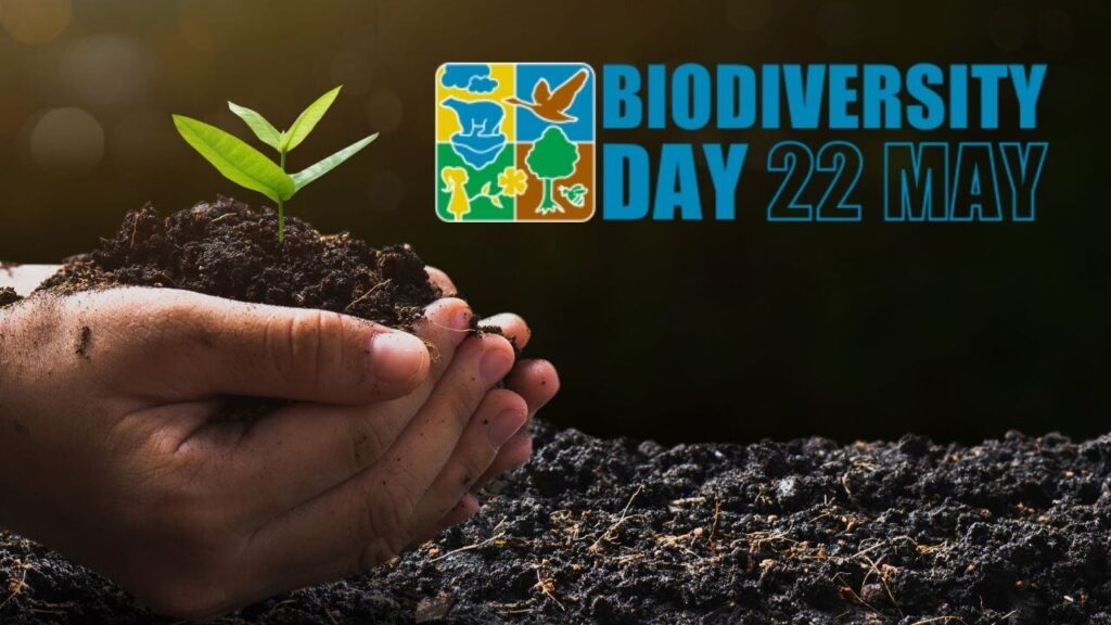 International Day for Biological Diversity