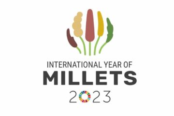 International Year of Millets 2023