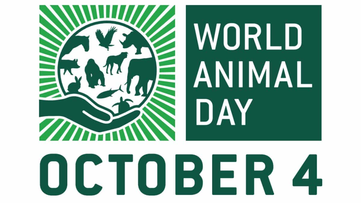 World Animal Day 2022 - Theme, History, Quotes, Slogans