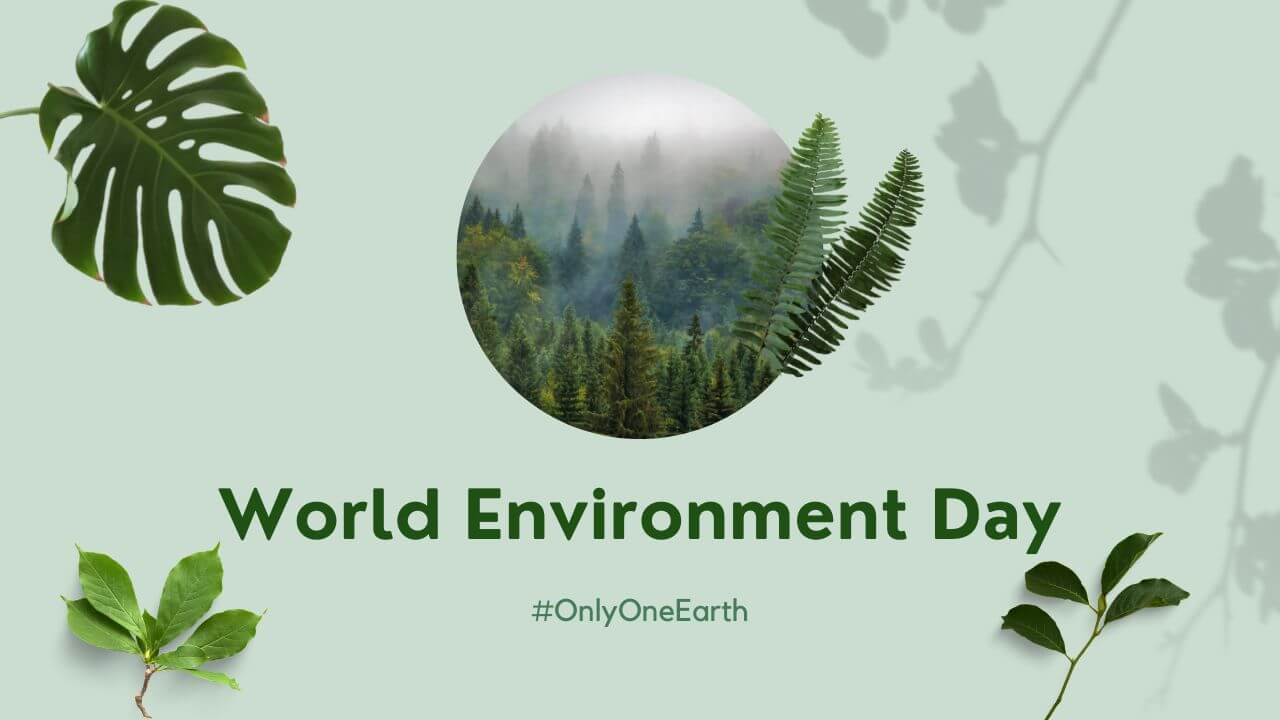 World Environment Day 2023 - Check Theme, Slogan, Host