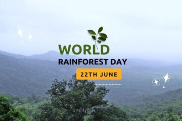 World Rainforest Day
