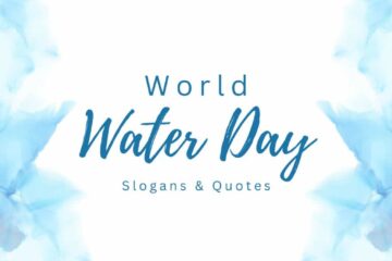 World Water Day Quotes and Slogans