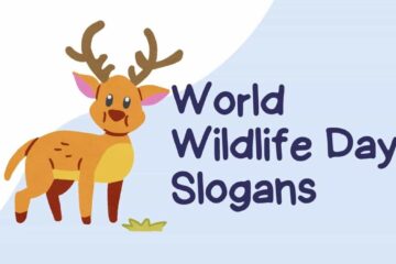 World Wildlife Day Slogans